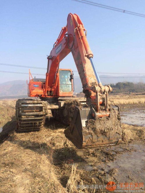 湖北210美國卡特水陸挖機租賃助力江南灘涂開發治理